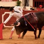 Vic-Fezensac, domingo 9 de junio de 2019. Tarde