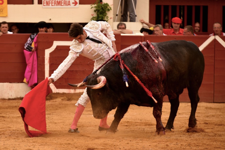 Vic-Fezensac, domingo 9 de junio de 2019. Tarde
