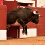Vic-Fezensac, domingo 9 de junio de 2019. Tarde