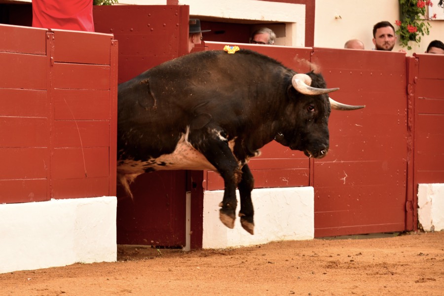Vic-Fezensac, domingo 9 de junio de 2019. Tarde