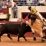 Vic-Fezensac, domingo 9 de junio de 2019. Tarde