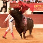 Vic-Fezensac, domingo 9 de junio de 2019. Tarde