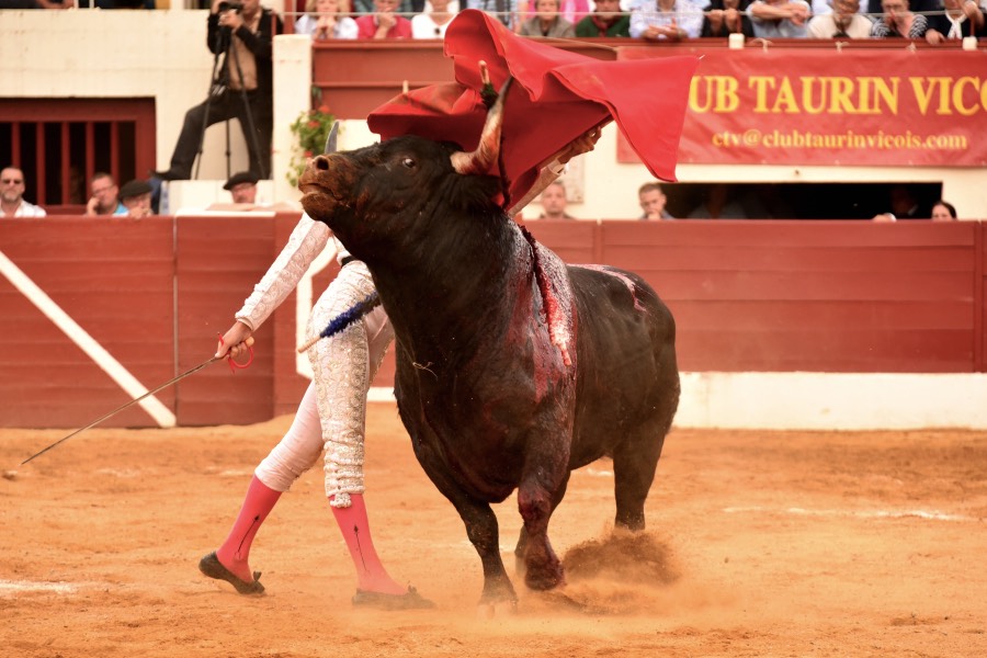 Vic-Fezensac, domingo 9 de junio de 2019. Tarde