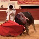 Vic-Fezensac, domingo 9 de junio de 2019. Tarde