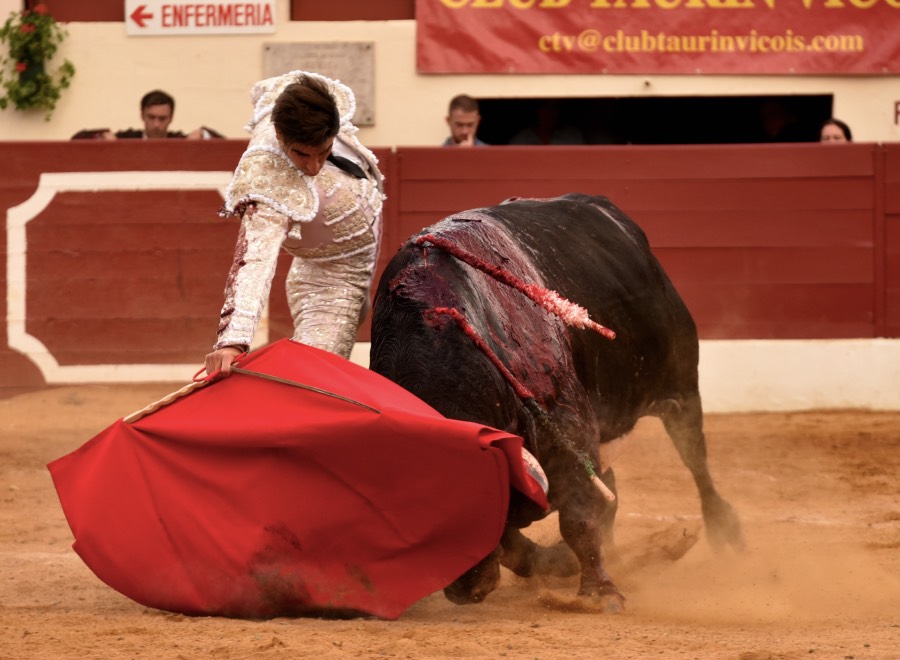 Vic-Fezensac, domingo 9 de junio de 2019. Tarde