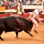 Vic-Fezensac, domingo 9 de junio de 2019. Tarde