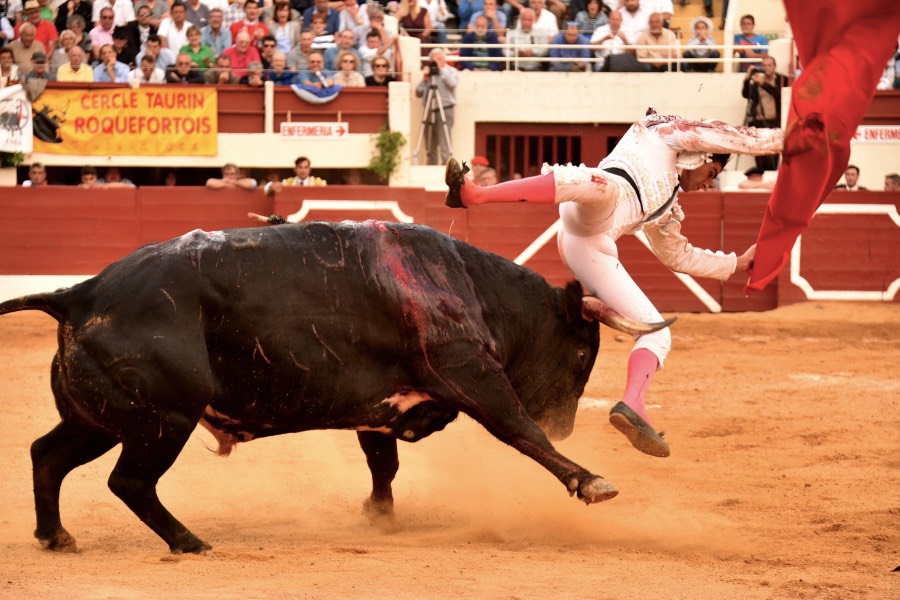 Vic-Fezensac, domingo 9 de junio de 2019. Tarde