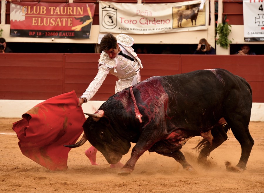 Vic-Fezensac, domingo 9 de junio de 2019. Tarde
