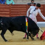 Final VI Alfarero de Plata