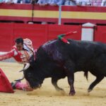 Granada, viernes 21 de junio de 2019