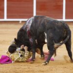 Algeciras. Sábado 29 de junio de 2019