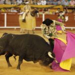 Algeciras. Sábado 29 de junio de 2019