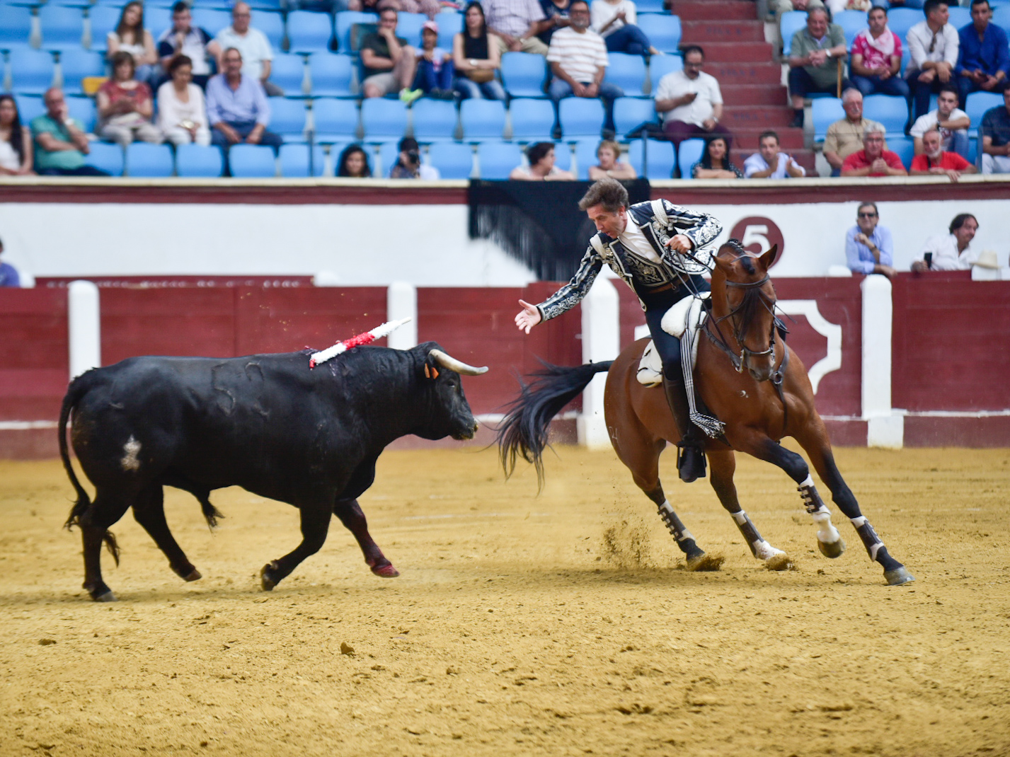 León, sábado 22 de junio de 2019