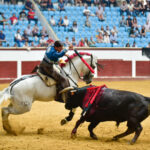 León, sábado 22 de junio de 2019