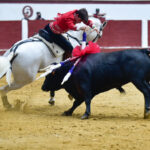 León, sábado 22 de junio de 2019