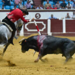 León, sábado 22 de junio de 2019