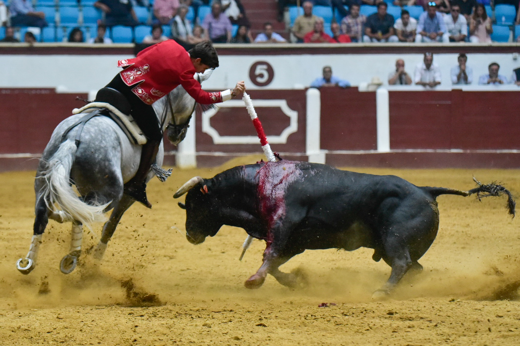 León, sábado 22 de junio de 2019