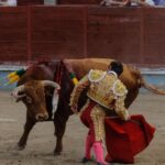 Segovia. Sábado 29 de junio de 2019