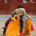 Segovia. Sábado 29 de junio de 2019