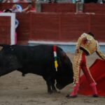 Segovia. Sábado 29 de junio de 2019