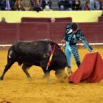 Lisboa, 6 junio de 2019.