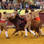 Lisboa, 6 junio de 2019.