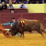 Lisboa, 6 junio de 2019.