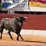 Vic-Fezensac, sábado 8 de junio de 2019. Tarde