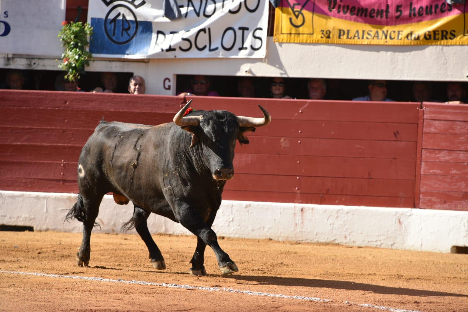 Vic-Fezensac, sábado 8 de junio de 2019. Tarde