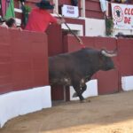 Vic-Fezensac, sábado 8 de junio de 2019. Tarde