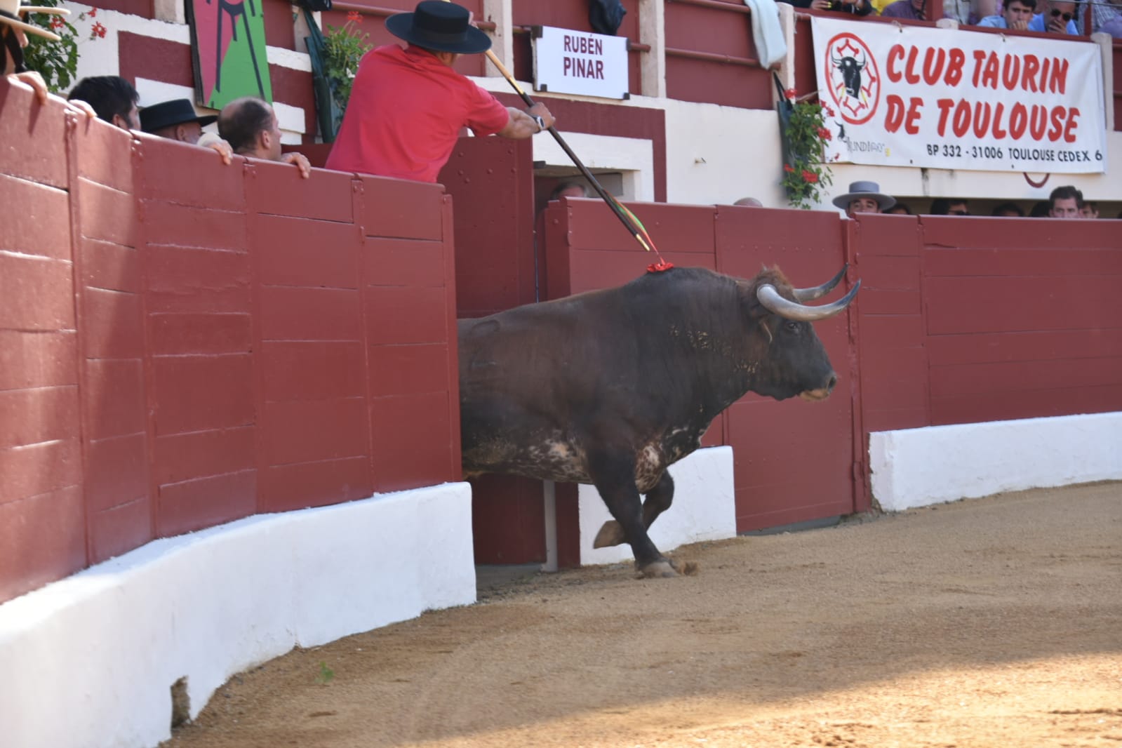 Vic-Fezensac, sábado 8 de junio de 2019. Tarde
