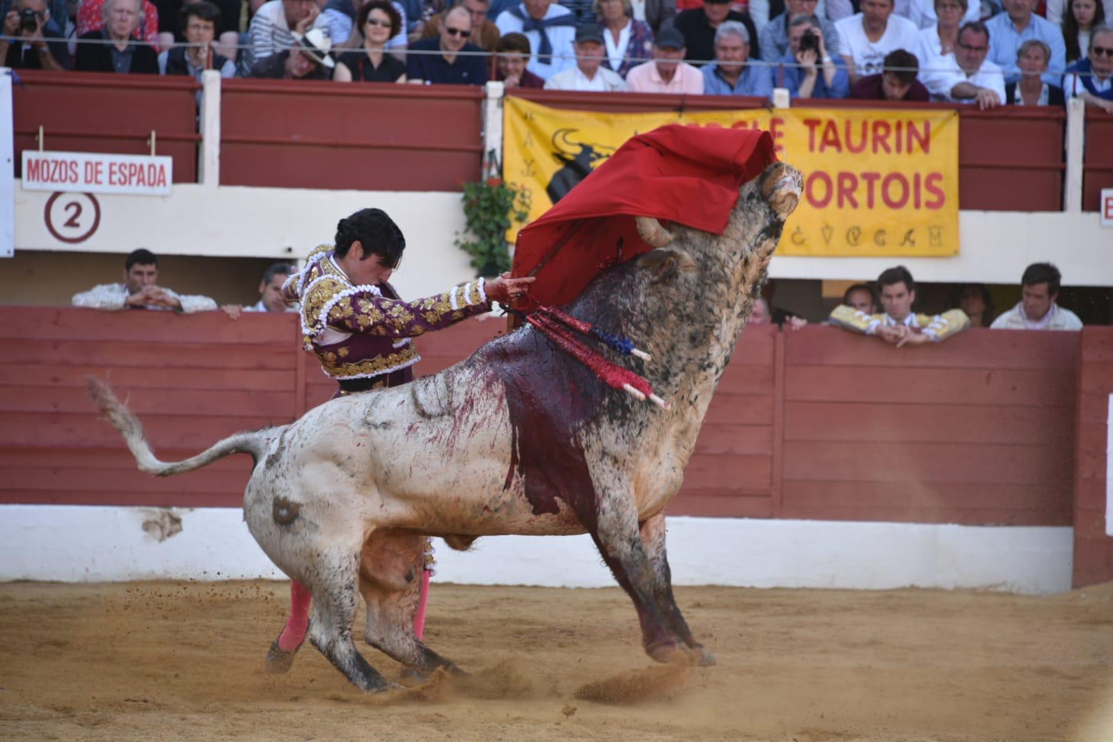 Vic-Fezensac, sábado 8 de junio de 2019. Tarde