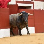 Vic-Fexensac, domingo 9 de junio de 2019. Matinal