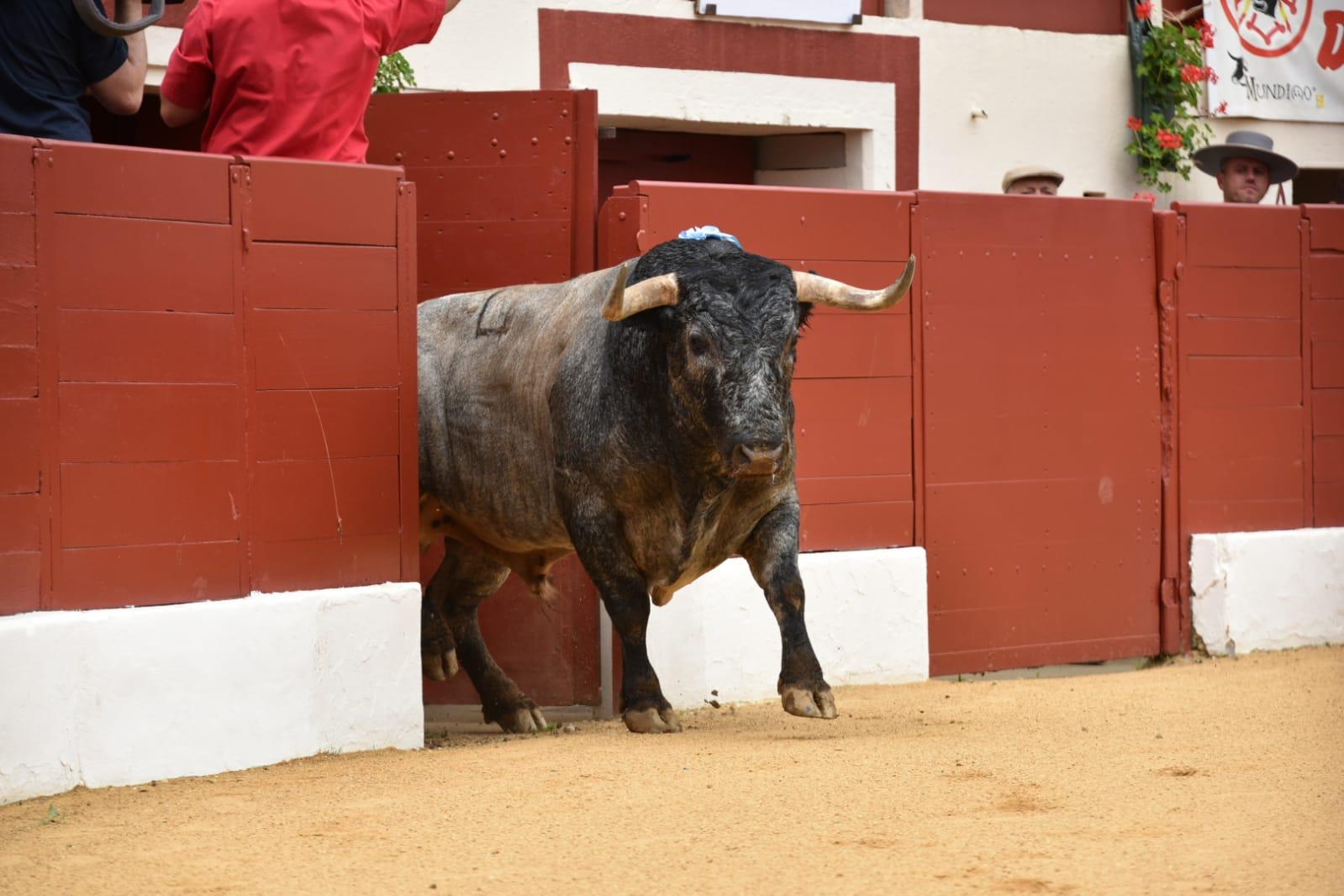 Vic-Fexensac, domingo 9 de junio de 2019. Matinal