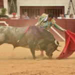 Vic-Fexensac, domingo 9 de junio de 2019. Matinal