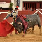 Vic-Fexensac, domingo 9 de junio de 2019. Matinal