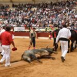 Vic-Fexensac, domingo 9 de junio de 2019. Matinal