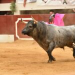 Vic-Fexensac, domingo 9 de junio de 2019. Matinal