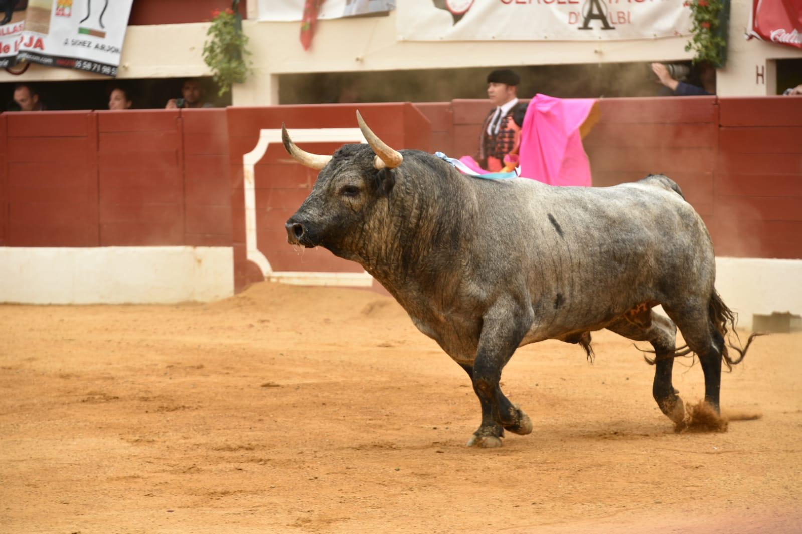 Vic-Fexensac, domingo 9 de junio de 2019. Matinal
