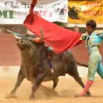 Vic-Fexensac, domingo 9 de junio de 2019. Matinal