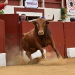 Vic-Fexensac, domingo 9 de junio de 2019. Matinal