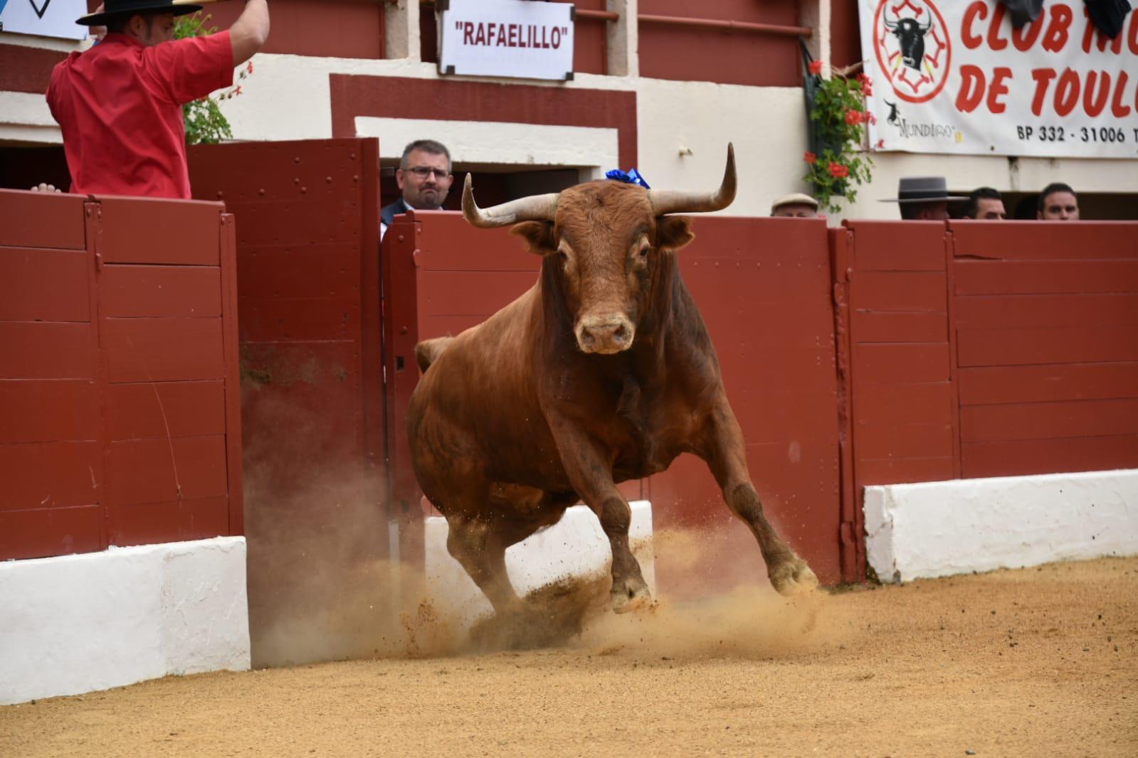 Vic-Fexensac, domingo 9 de junio de 2019. Matinal