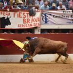 Vic-Fexensac, domingo 9 de junio de 2019. Matinal