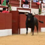 Vic-Fexensac, domingo 9 de junio de 2019. Matinal