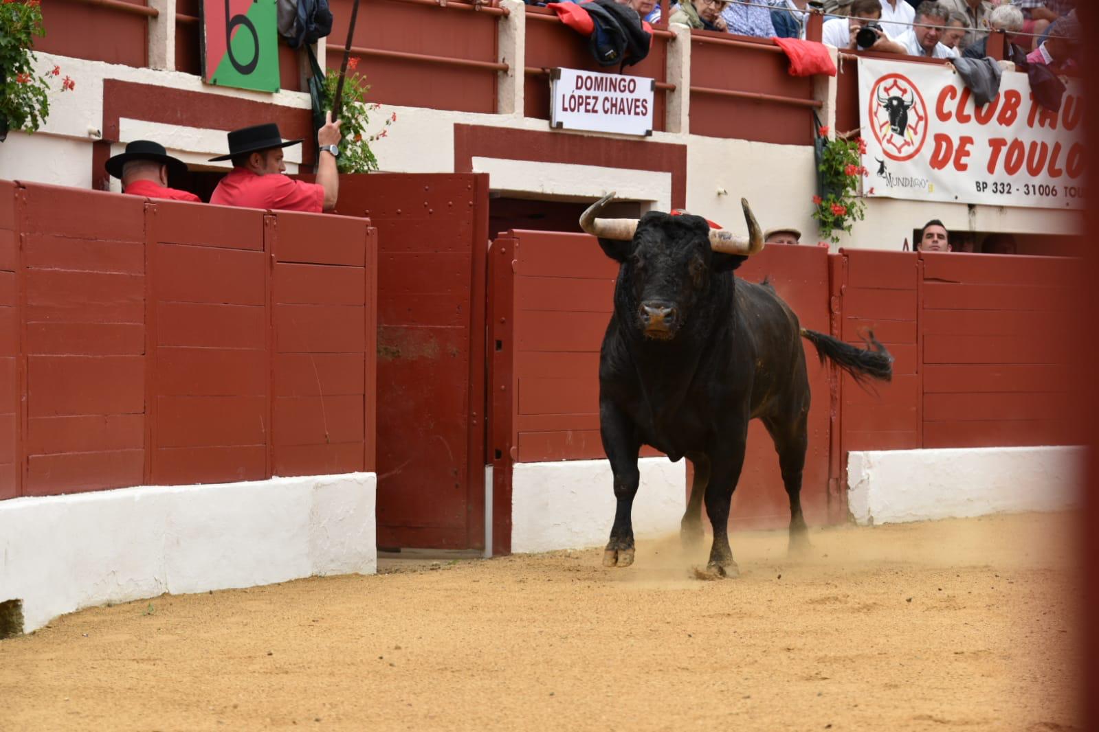 Vic-Fexensac, domingo 9 de junio de 2019. Matinal