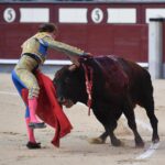 Cogida de Román. Madrid, domingo 9 de junio de 2019