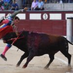 Cogida de Román. Madrid, domingo 9 de junio de 2019