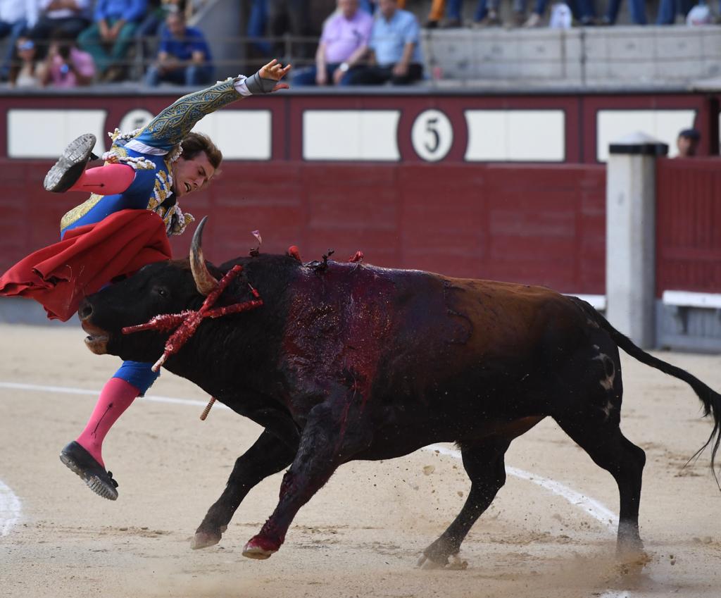 Cogida de Román. Madrid, domingo 9 de junio de 2019