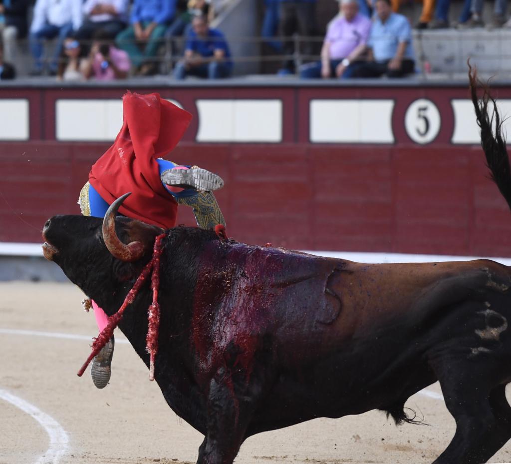 Cogida de Román. Madrid, domingo 9 de junio de 2019