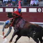 Cogida de Román. Madrid, domingo 9 de junio de 2019